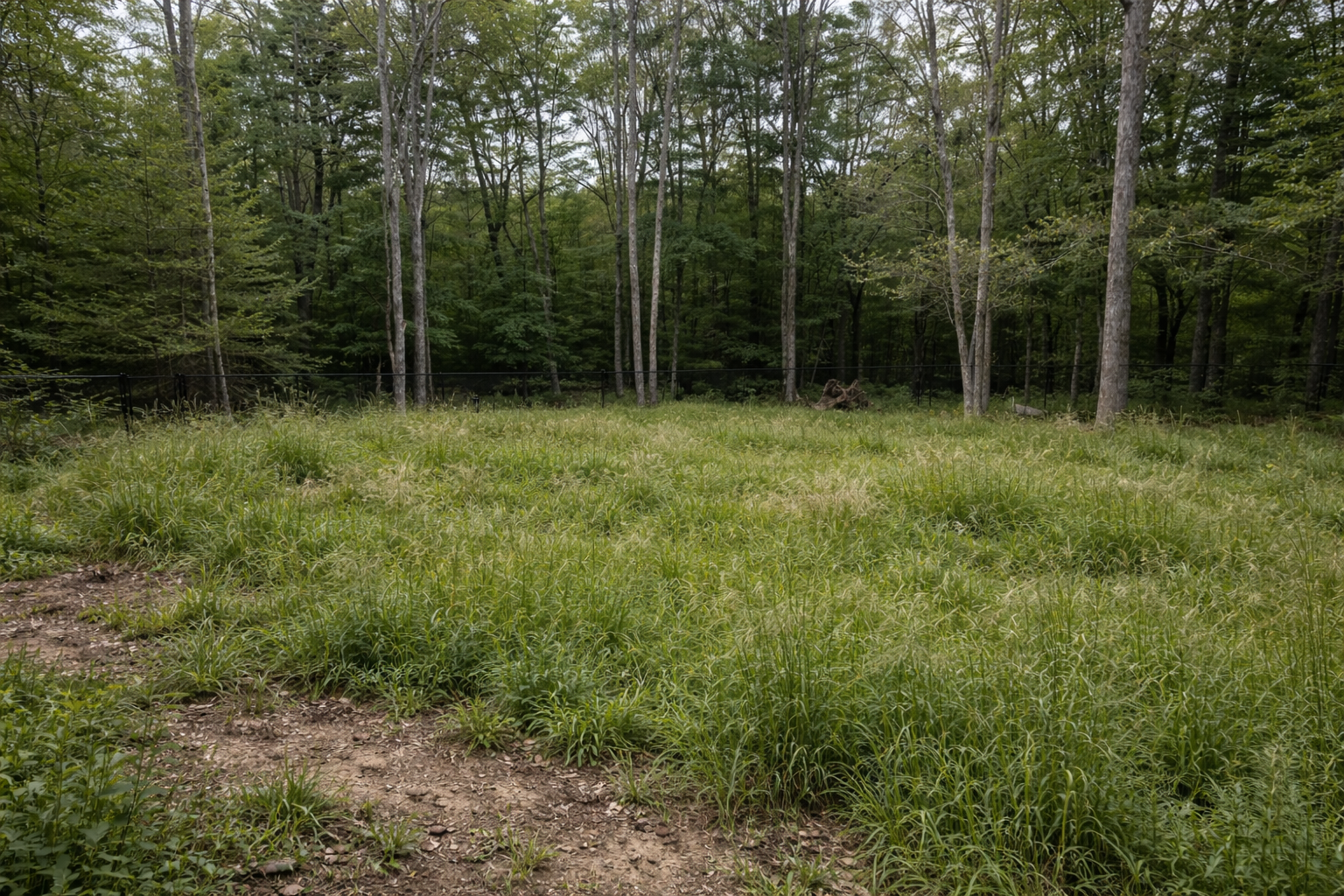 imgi_20_before-pool-Image-Dec-19_-2025-at-07_03_01-PM imgi_20_before-pool-Image-Dec-19_-2025-at-07_03_01-PM